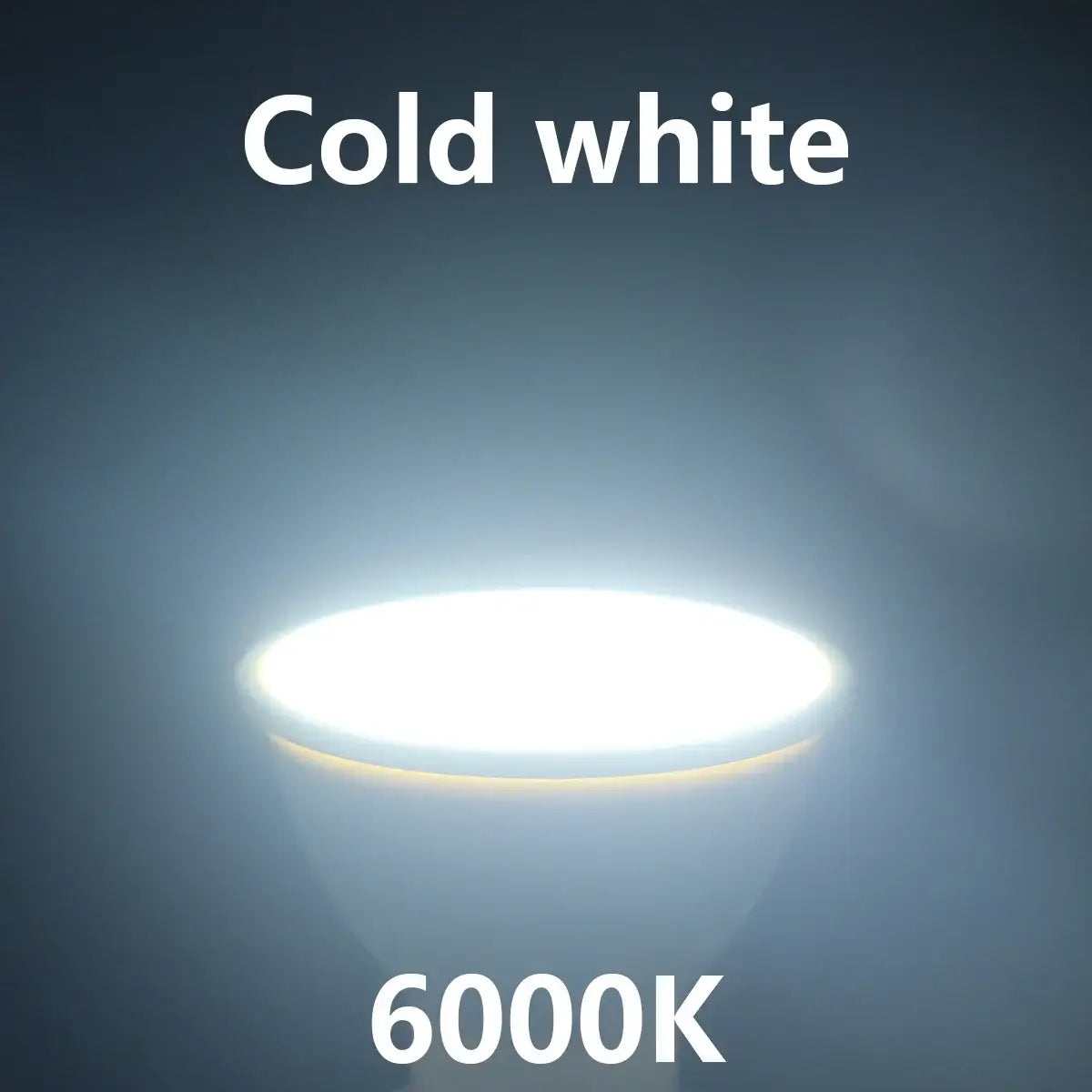 49252260348241|49252260381009|49252260413777|49252260446545|49252260479313|49252260512081|49252260544849|49252260577617